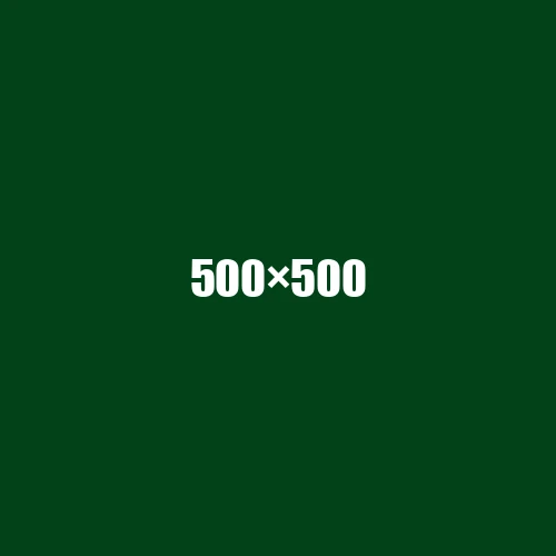 image de remplacement 500 × 500