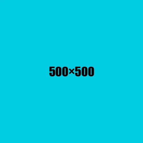 image de remplacement 500 × 500