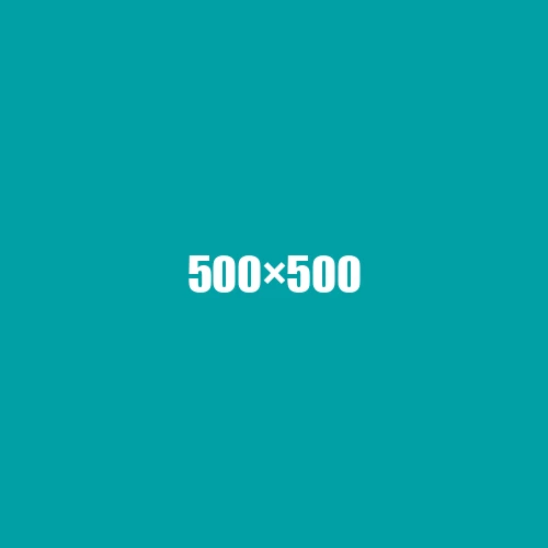 image de remplacement 500 × 500