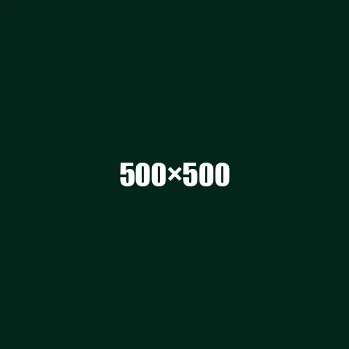 image de remplacement 500 × 500