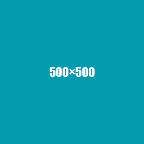 image de remplacement 500 × 500
