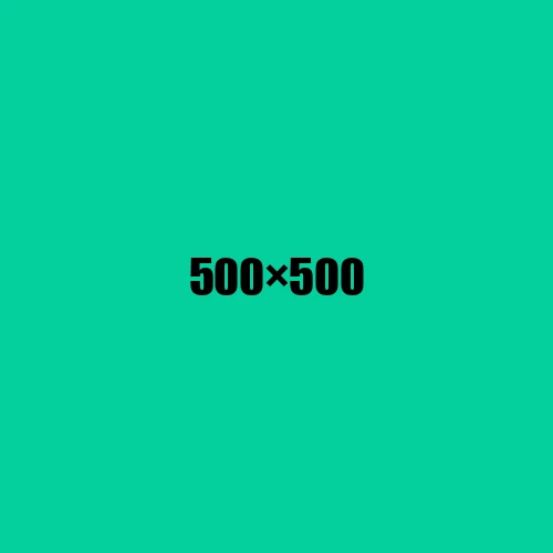 image de remplacement 500 × 500