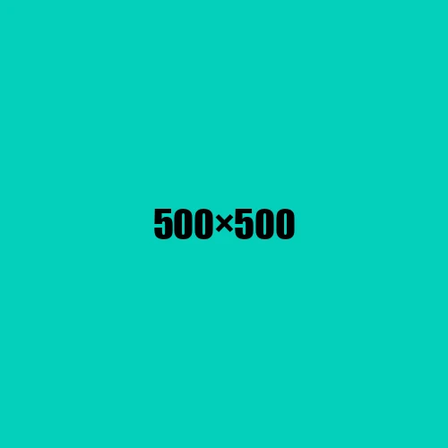 image de remplacement 500 × 500