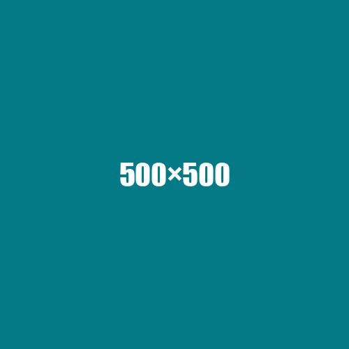 image de remplacement 500 × 500