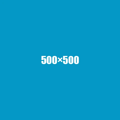 image de remplacement 500 × 500