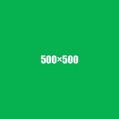 image de remplacement 500 × 500