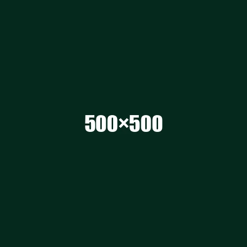 image de remplacement 500 × 500