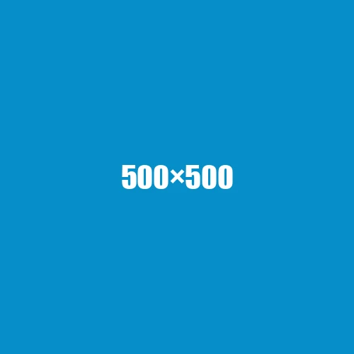 image de remplacement 500 × 500