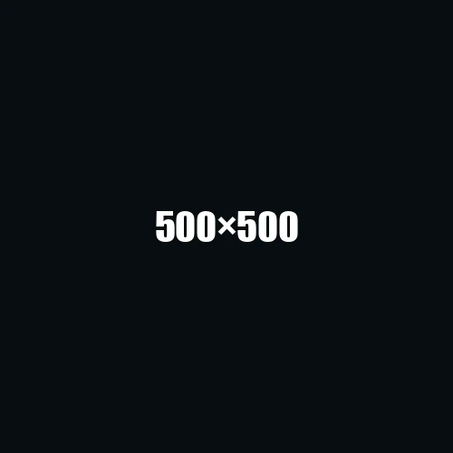 image de remplacement 500 × 500