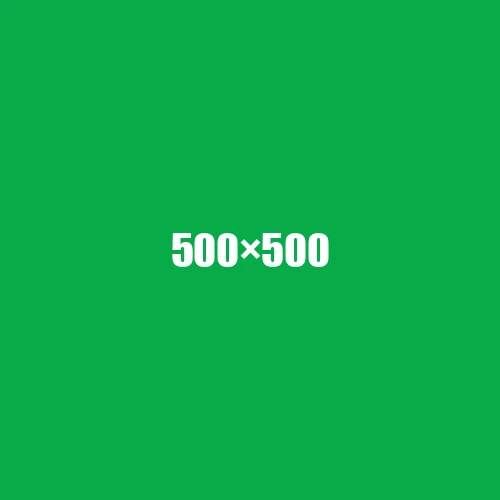image de remplacement 500 × 500