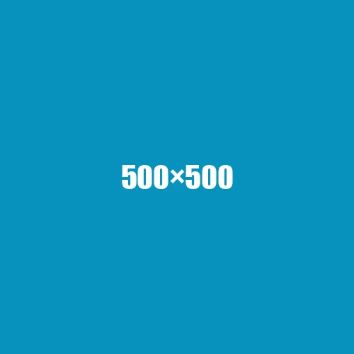 image de remplacement 500 × 500