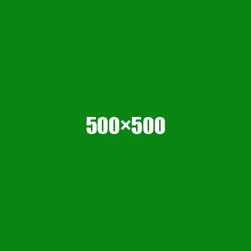 image de remplacement 500 × 500
