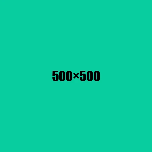 image de remplacement 500 × 500