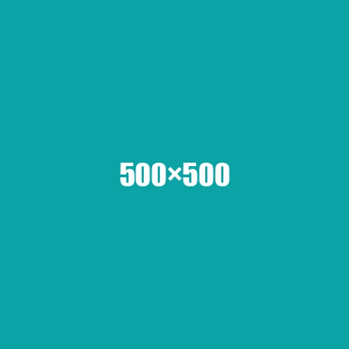 image de remplacement 500 × 500
