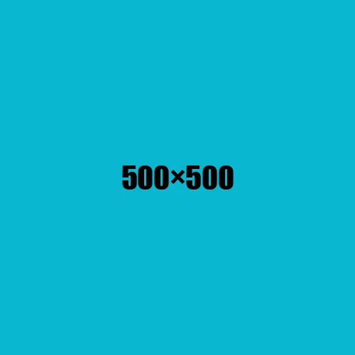 image de remplacement 500 × 500