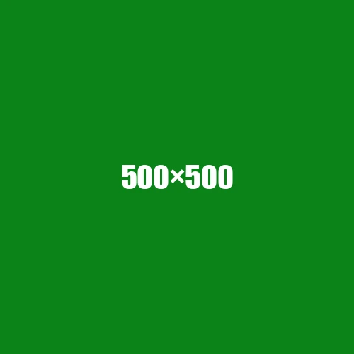 image de remplacement 500 × 500
