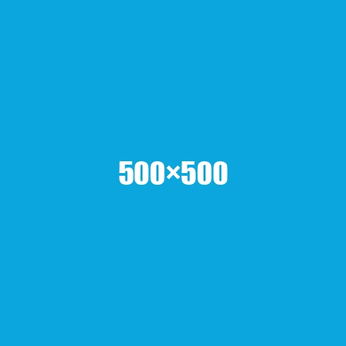 image de remplacement 500 × 500