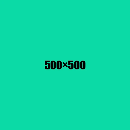 image de remplacement 500 × 500