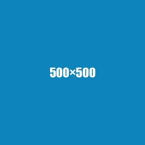 image de remplacement 500 × 500