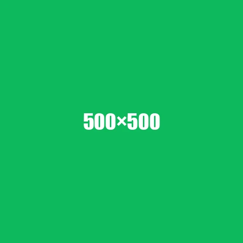 image de remplacement 500 × 500