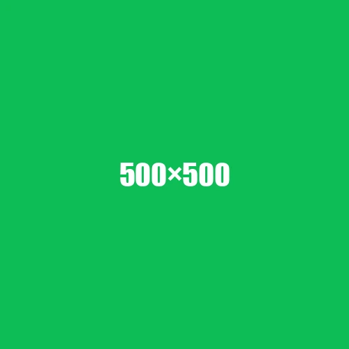 image de remplacement 500 × 500