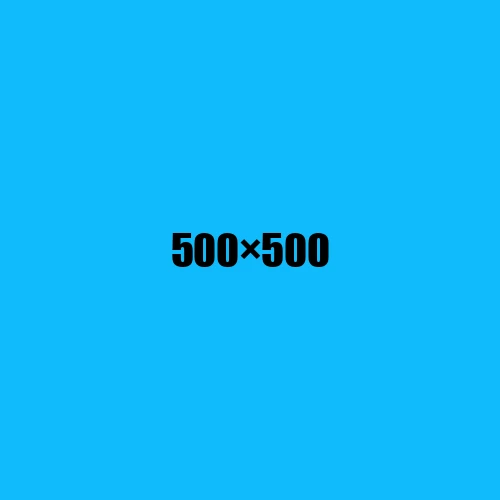 image de remplacement 500 × 500