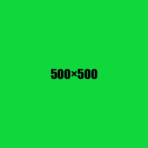 image de remplacement 500 × 500