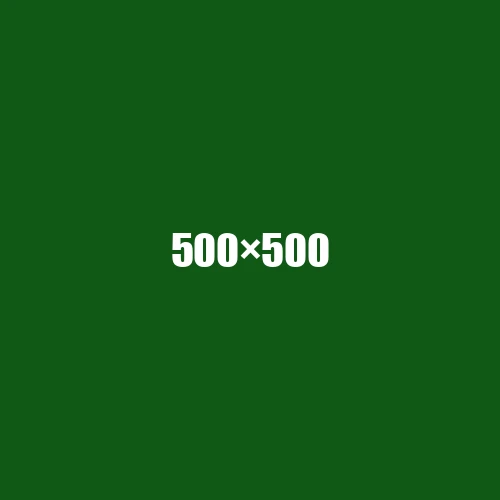 image de remplacement 500 × 500