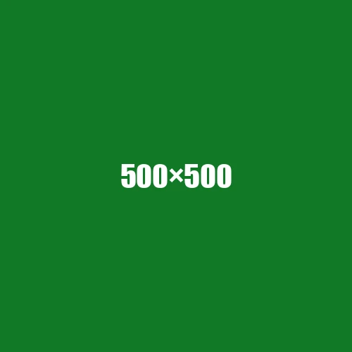 image de remplacement 500 × 500