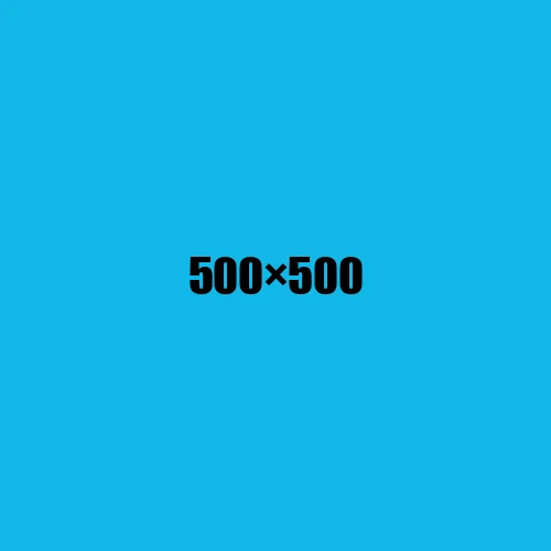 image de remplacement 500 × 500