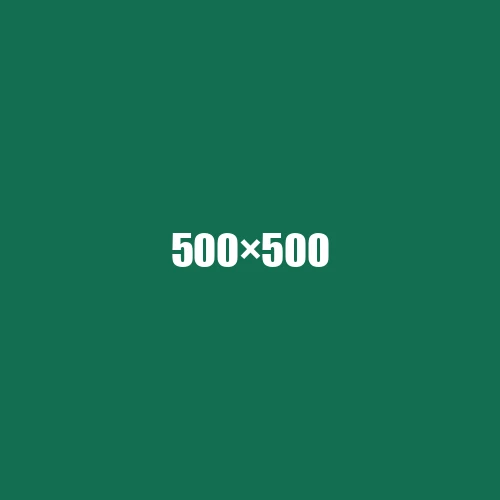 image de remplacement 500 × 500
