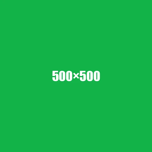 image de remplacement 500 × 500