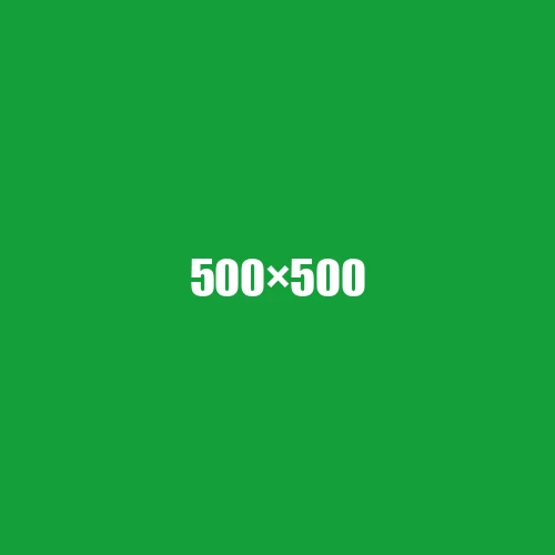 image de remplacement 500 × 500