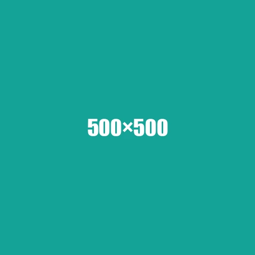 image de remplacement 500 × 500