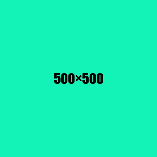 image de remplacement 500 × 500