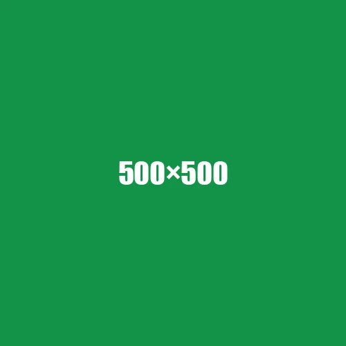 image de remplacement 500 × 500