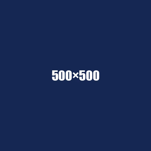 image de remplacement 500 × 500