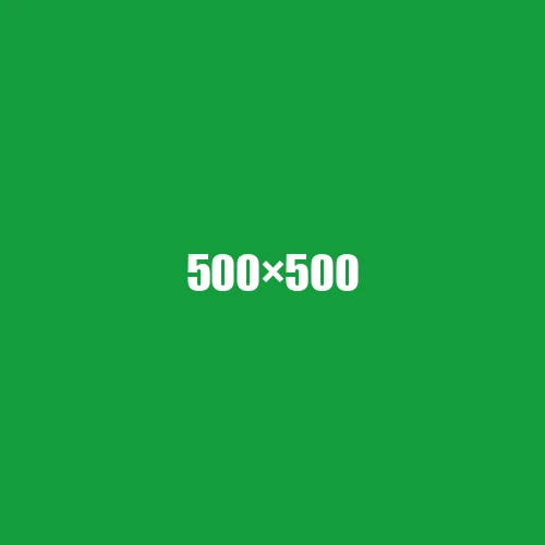 image de remplacement 500 × 500