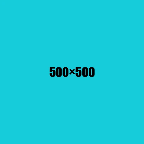 image de remplacement 500 × 500