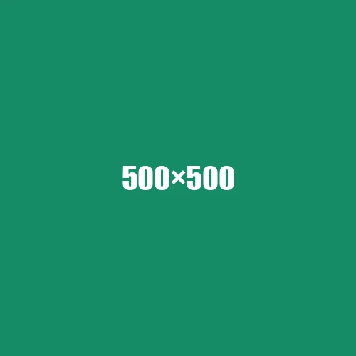 image de remplacement 500 × 500