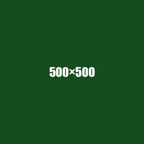 image de remplacement 500 × 500