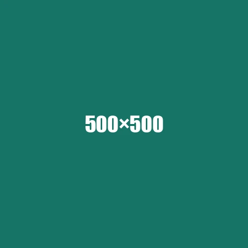 image de remplacement 500 × 500