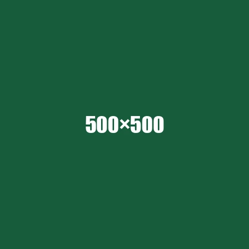 image de remplacement 500 × 500