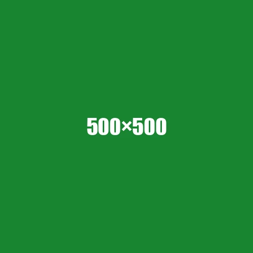 image de remplacement 500 × 500