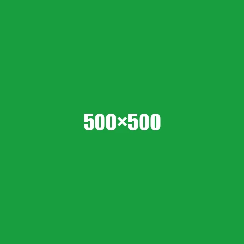 image de remplacement 500 × 500