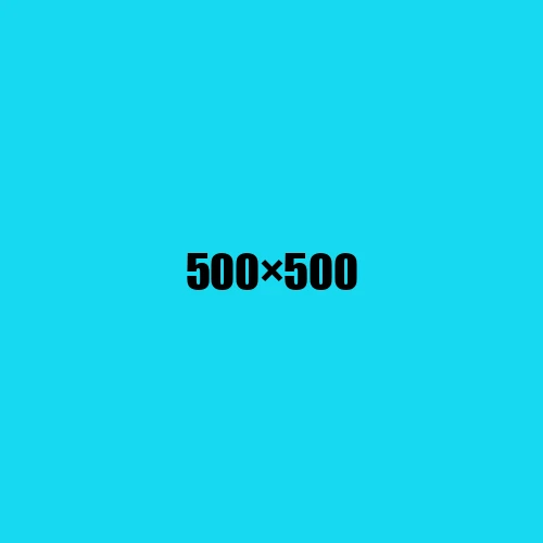 image de remplacement 500 × 500