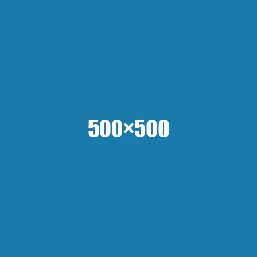 image de remplacement 500 × 500