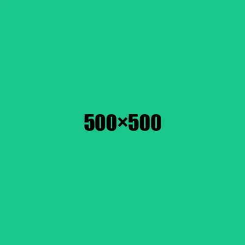 image de remplacement 500 × 500