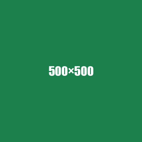 image de remplacement 500 × 500
