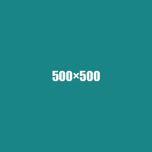 image de remplacement 500 × 500